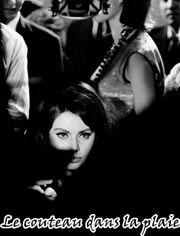 麦克布莱德：午夜谋杀案,午夜谋杀案的悬疑揭密