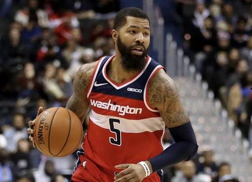 莫里斯,探索人类智慧的璀璨星辰